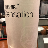
            SENSATION_
            ハルさん