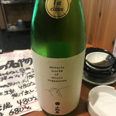 新潟県の酒