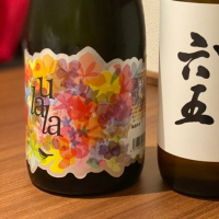 
            庭のうぐいす_
            Saeさん