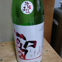 
            聖_
            fishさん