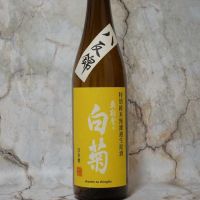 奥能登の白菊