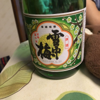 雪中梅