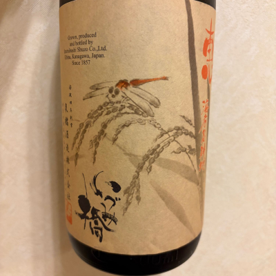 いづみ橋のレビュー by_joe