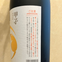 甲子のレビュー by_joe