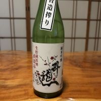 臥龍梅