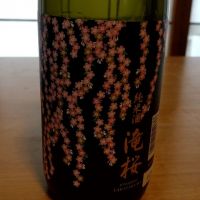 
            滝桜_
            そうじろうさん