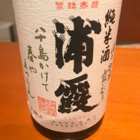 浦霞