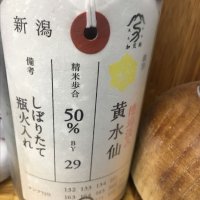 新潟県の酒