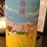 
            金の井_
            K.Otaさん