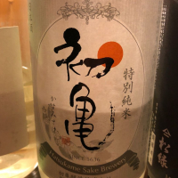 
            初亀_
            コリさん