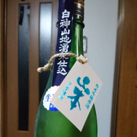 
            山本_
            三匹のママさん