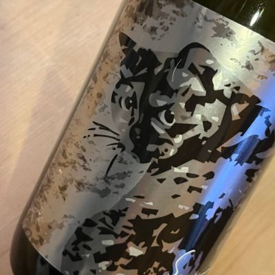 サビ猫ロックのレビュー by_kojityu