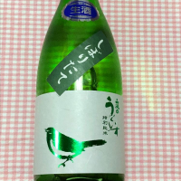 庭のうぐいす