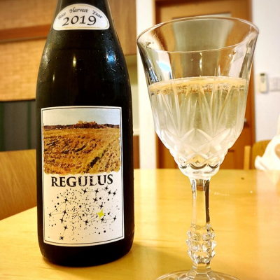 REGULUSのレビュー by_Y氏