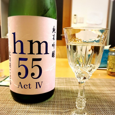 hm55のレビュー by_Y氏