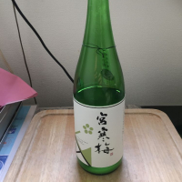 宮寒梅