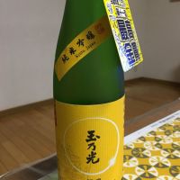 京都府の酒