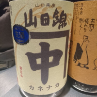 山口県の酒