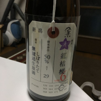 新潟県の酒