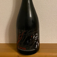 風の森のレビュー by_Yoshiyuki Kuboki