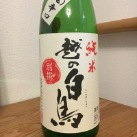越の白鳥