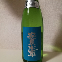 安東水軍