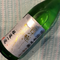 山口県の酒