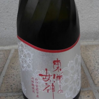 東洋美人