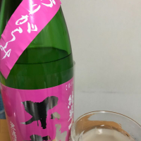 
            不動_
            chi310さん