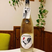 大盃