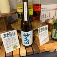 妙高山_
            choco.bananas136さん