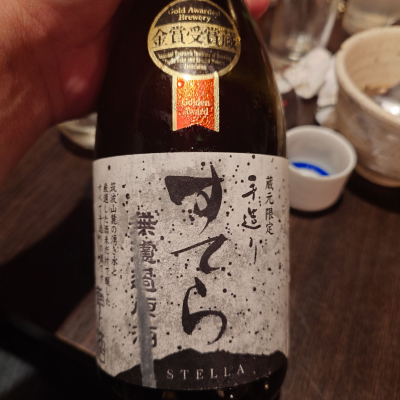 すてらのレビュー by_G漢