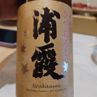 浦霞