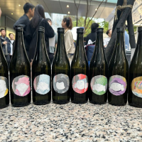 白糸のレビュー by_G漢