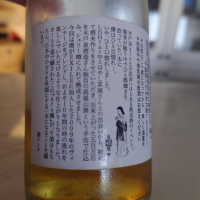 AFSのレビュー by_G漢