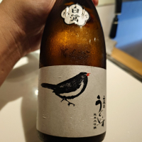 庭のうぐいす