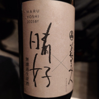 菊美人