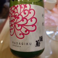 灘菊
