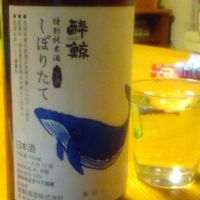 酔鯨