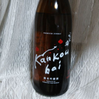 
            寒紅梅_
            おきさんさん