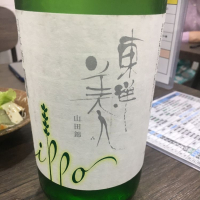 山口県の酒