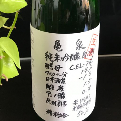 高知県の酒