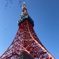 ryuutamomo