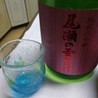 
            尾瀬の雪どけ_
            kyoさん