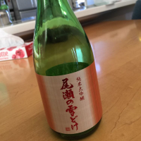 
            尾瀬の雪どけ_
            yuichikanekoさん
