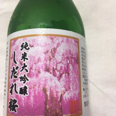 舞桜のレビュー by_DaigoTomoare