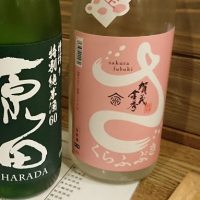 
            賀茂金秀_
            アキトさん