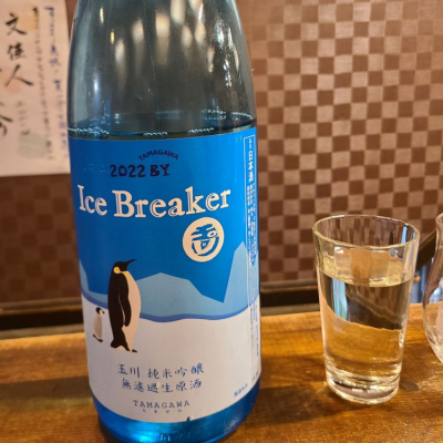 Ice Breakerのレビュー by_acdc