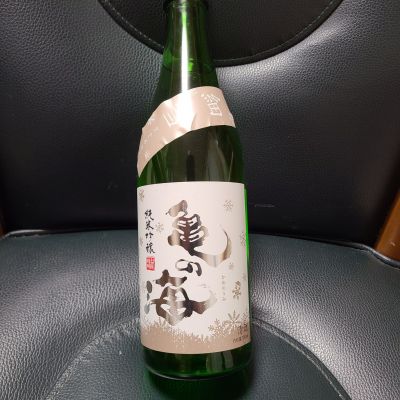 亀の海のレビュー by_acdc