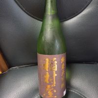 稲村屋